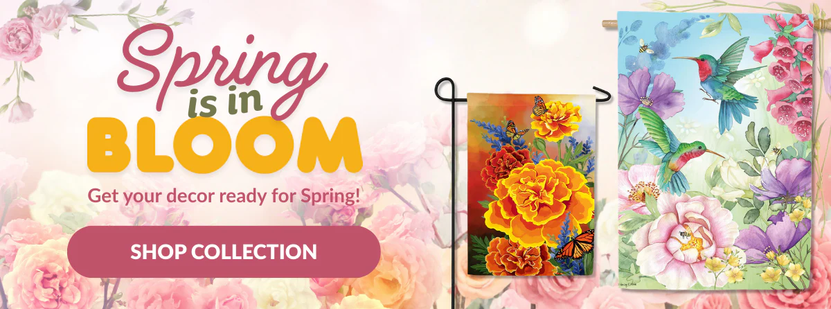 Elevate Your Home's Curb Appeal